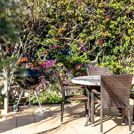 Vakantiehuis Casa The Palm House Carvoeiro (Lagoa)